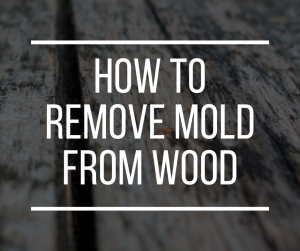 How to remove mold from wood