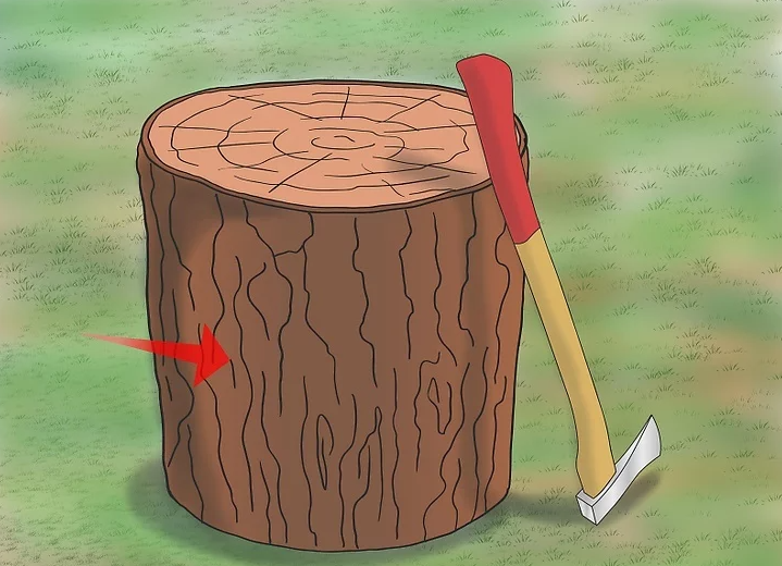 Chopping Wood With An Axe: Position Your Chopping Block