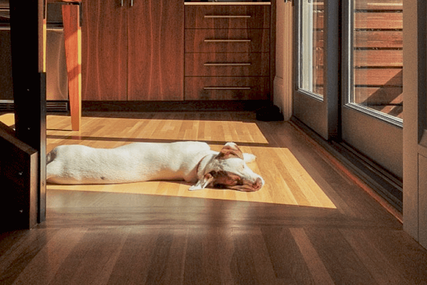 Best Flooring for Non Temperature Controlled Areas