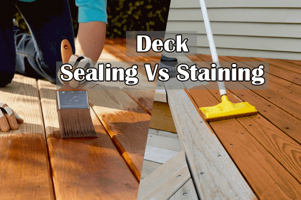 Deck Sealing Vs Staining